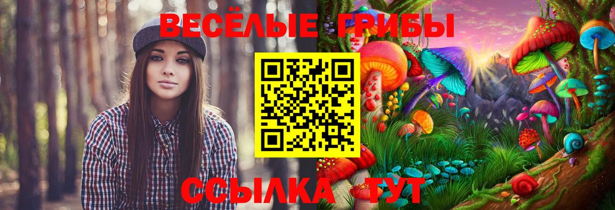 Галлюциногенные грибы Psilocybe Алатырь