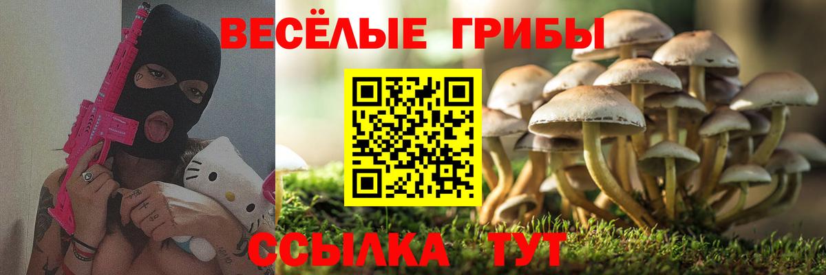 Алатырь  Галлюциногенные грибы мухоморы  Галлюциногенные грибы Cubensis  Вход с VPN 
